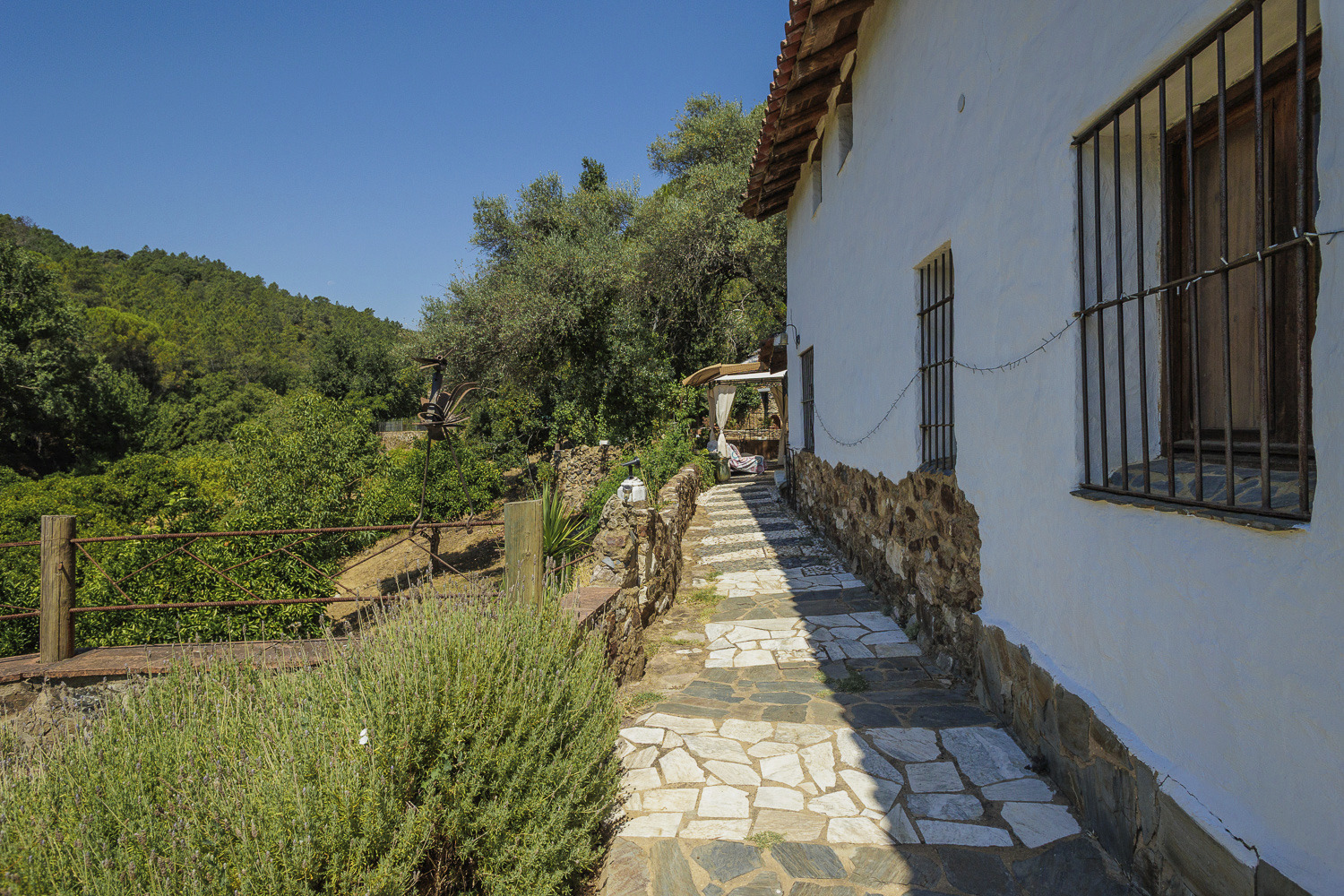 La Toscana - Imagen 10