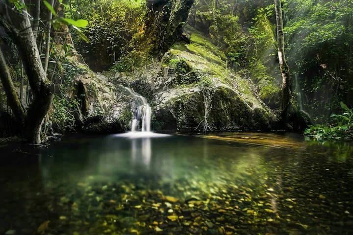 La Toscana - Imagen 18