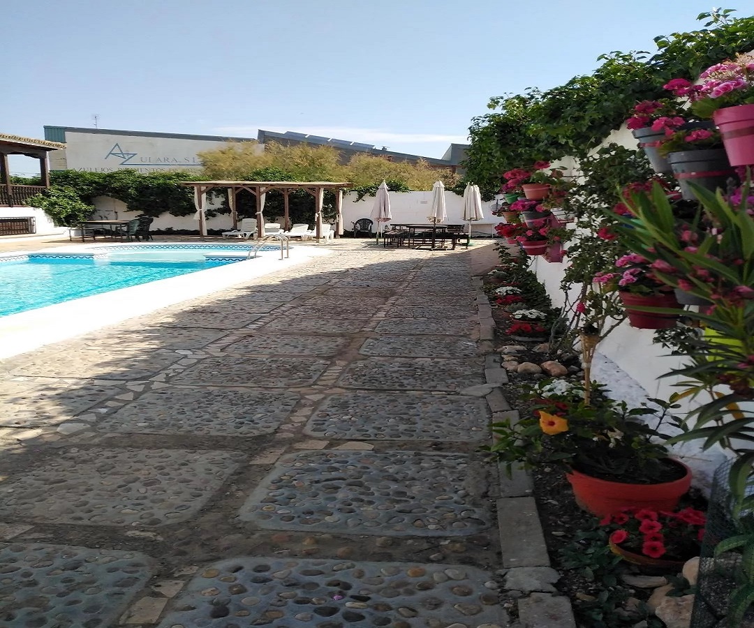 La Casa de Elena - Imagen 2