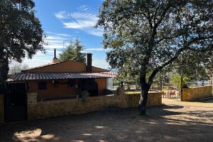 Finca Buenas Vistas