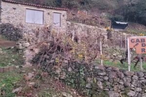 Cabaña do Rei