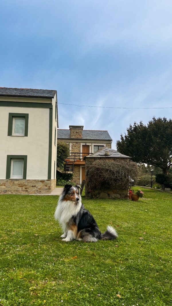 Apartamentos Castello