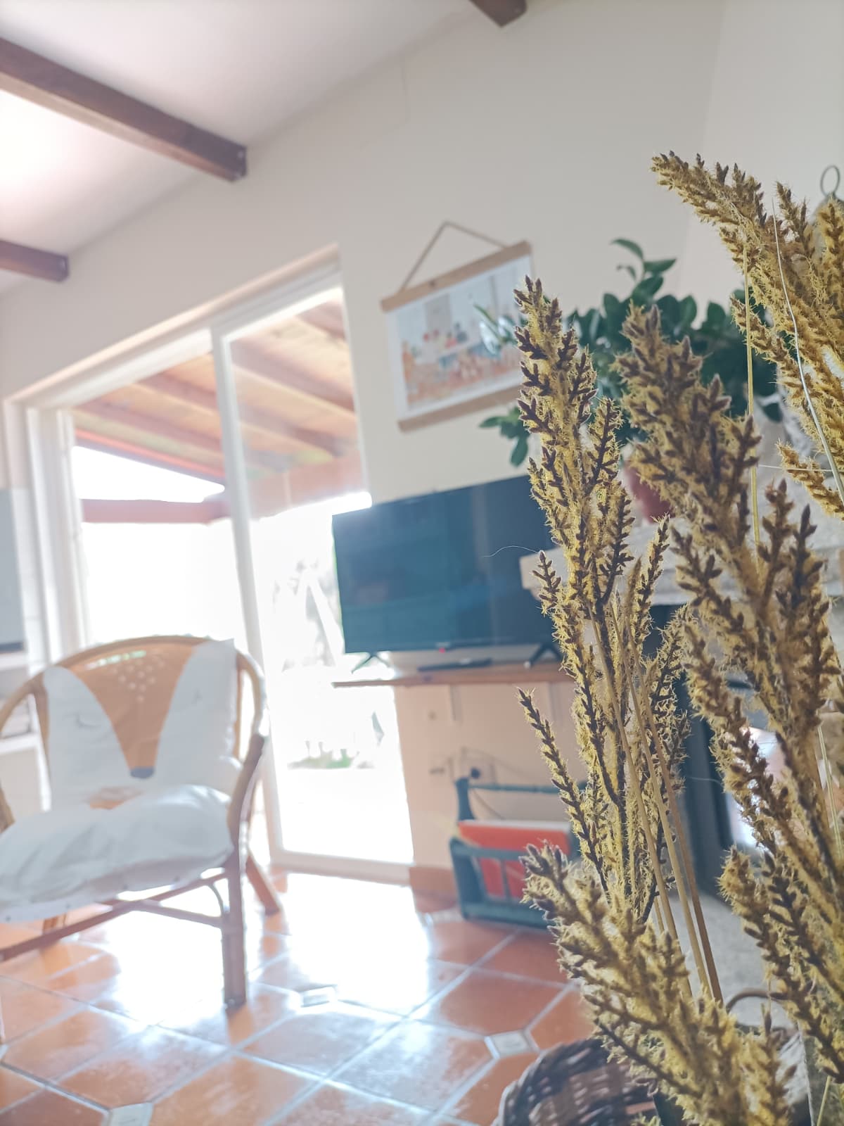 Casa Costaneira - Imagen 13
