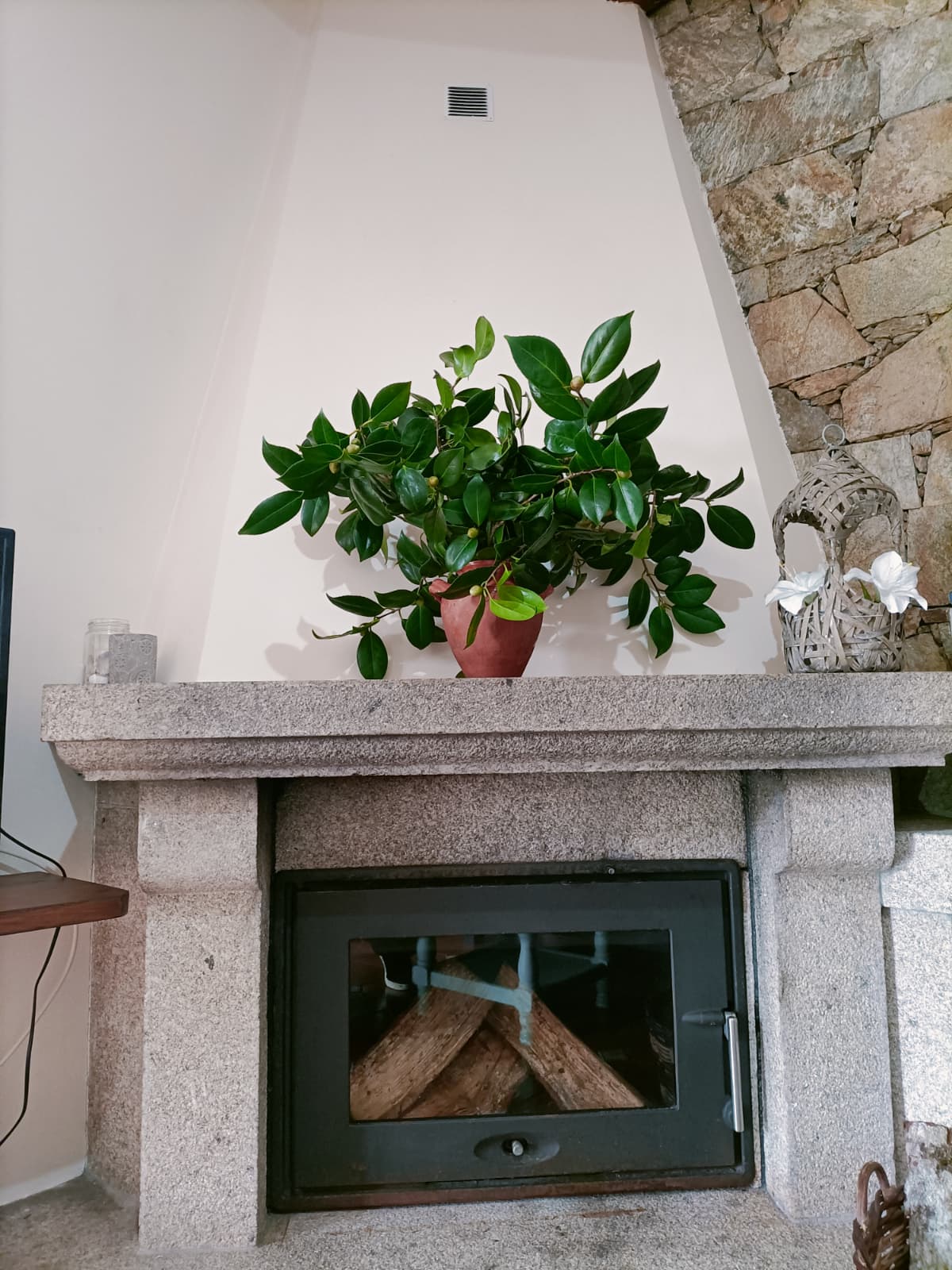 Casa Costaneira - Imagen 18
