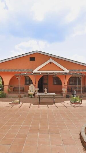 Finca el Palomar de la Viña