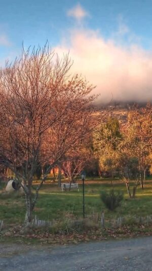 El Rincón del Jerte