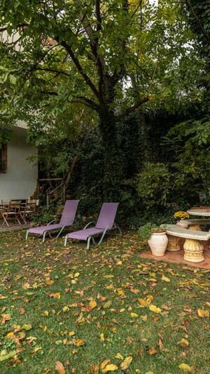 Jazmin Apartamento