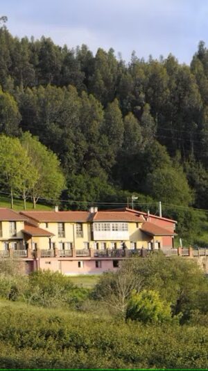 Mimosas del Nalón