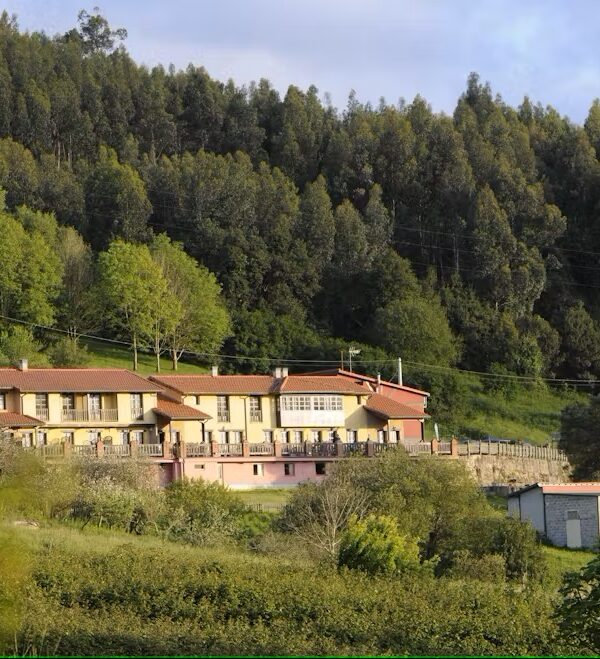 Mimosas del Nalón