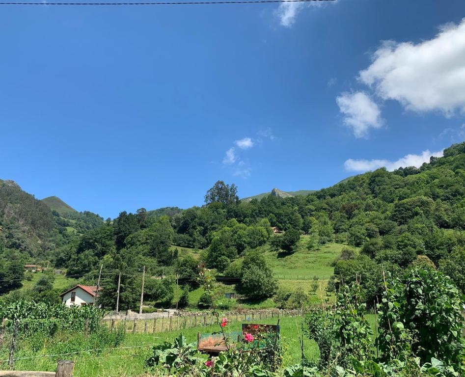 La Nozaleda - Imagen 15