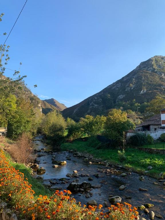 La Nozaleda - Imagen 16