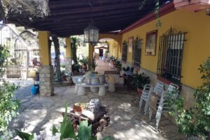 Casa Oasis