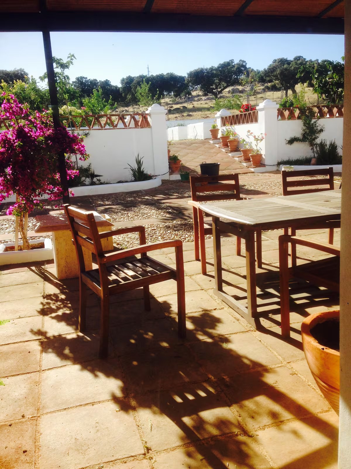 Cortijo La Rinconada - Imagen 7