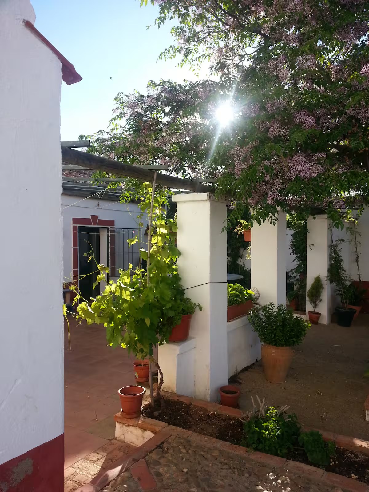 Cortijo La Rinconada - Imagen 9