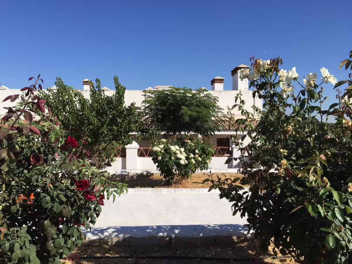 Cortijo La Rinconada - Imagen 12