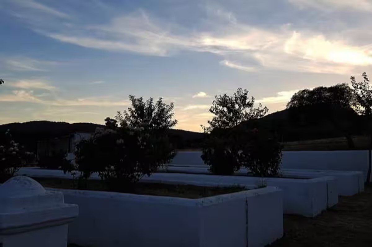 Cortijo La Rinconada - Imagen 29