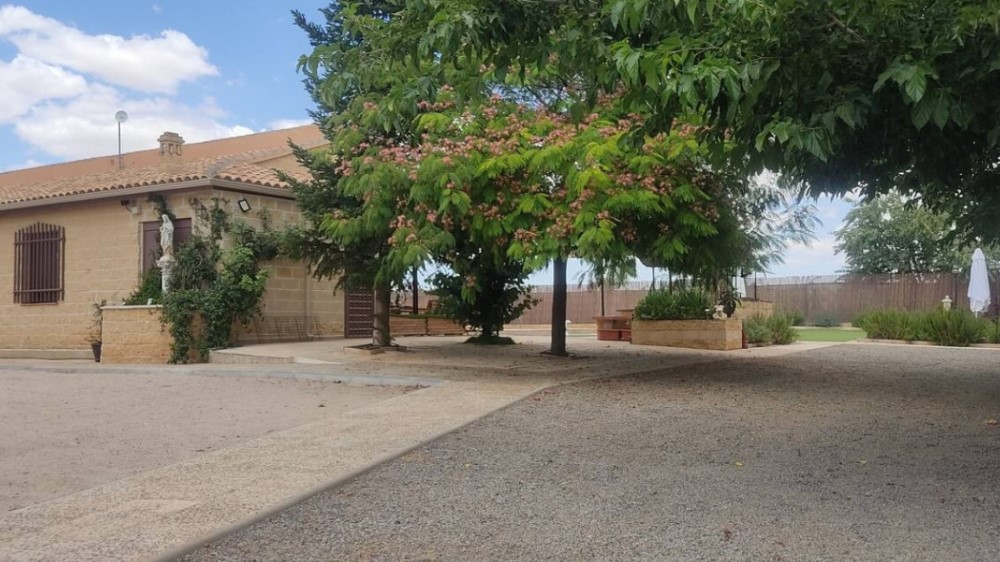 Finca El Pilar - Imagen 10