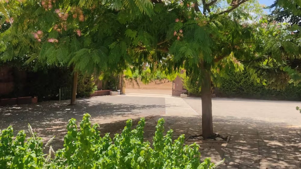 Finca El Pilar - Imagen 16