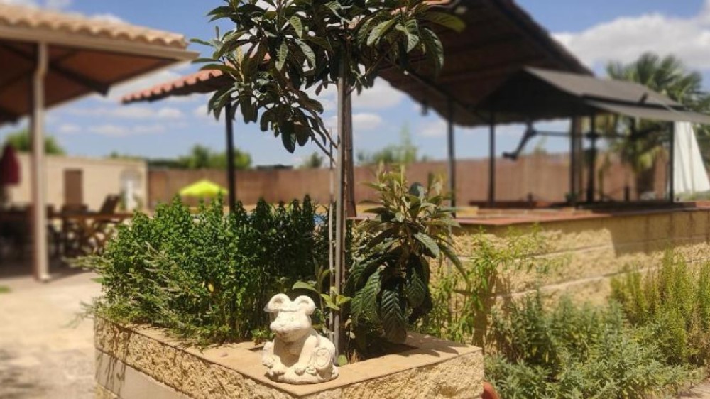 Finca El Pilar - Imagen 6