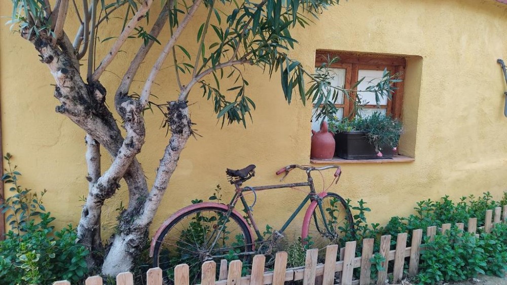El Pinar de Bardena - Imagen 16