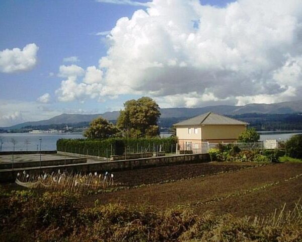 Casa da Torre