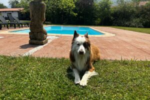 Villa el Tinganon