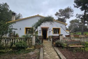 Refugio del Bosque. Castellet i la Gornal.