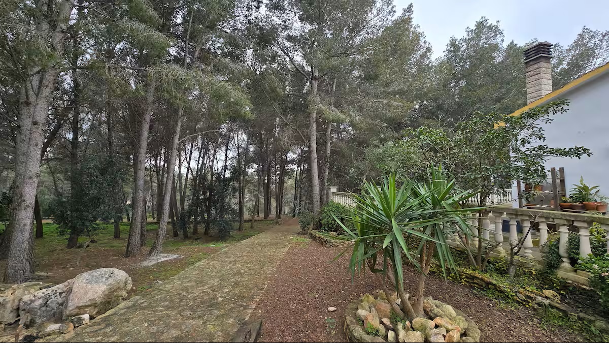 Refugio del Bosque. Castellet i la Gornal. - Imagen 3
