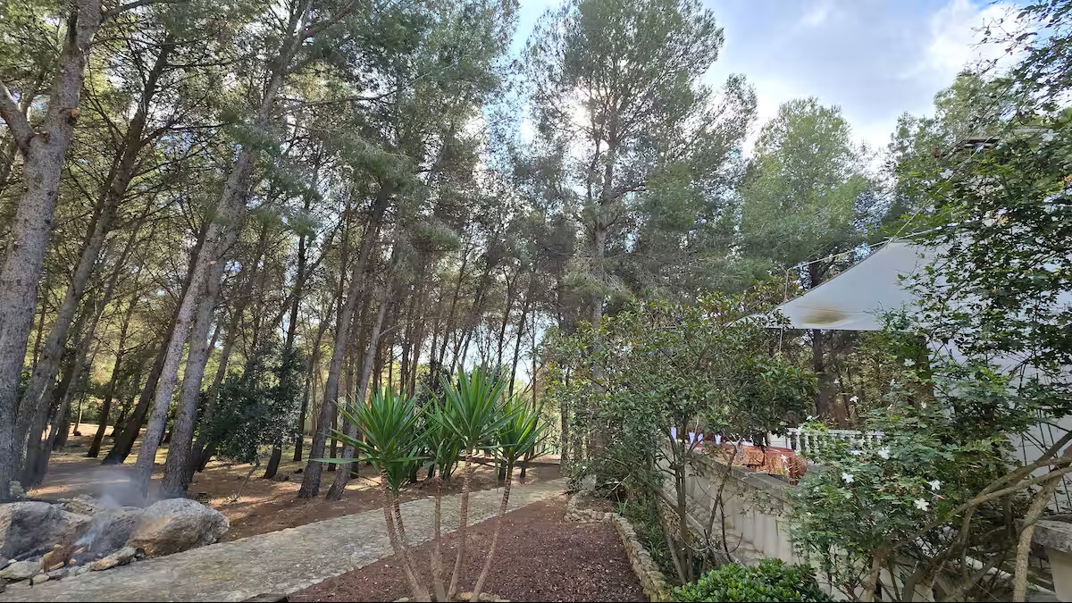 Refugio del Bosque. Castellet i la Gornal. - Imagen 7