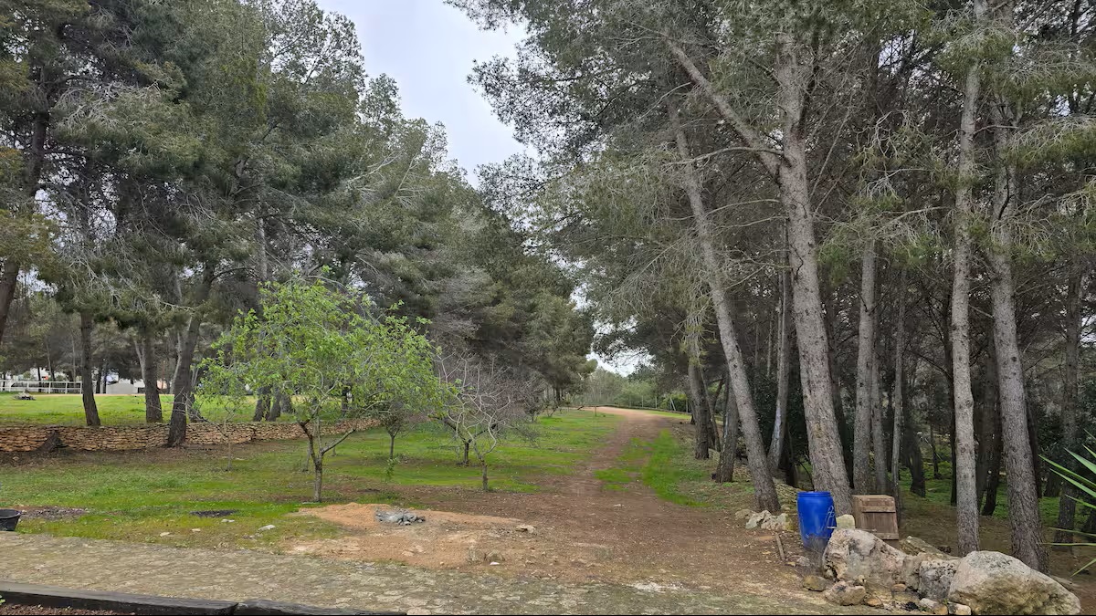 Refugio del Bosque. Castellet i la Gornal. - Imagen 10