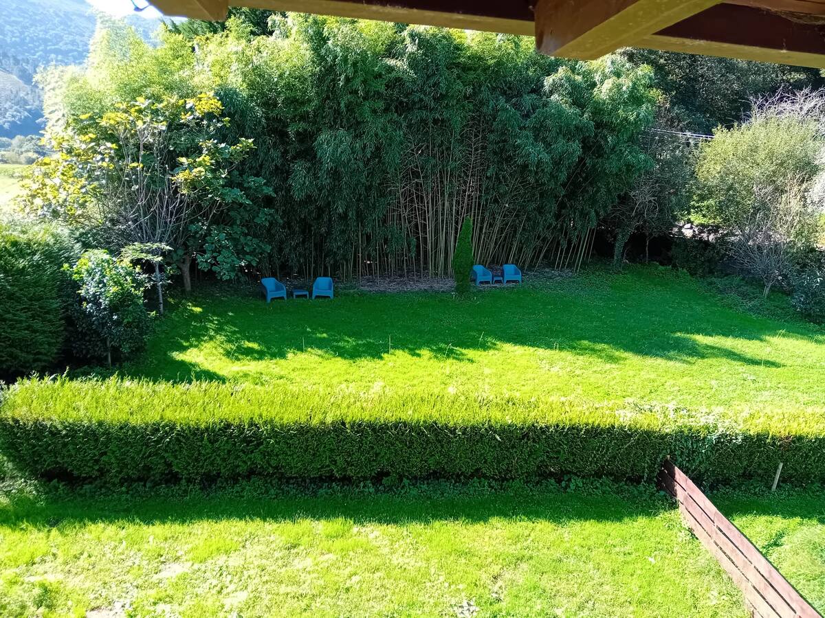 Las Gallinas de María - Imagen 4