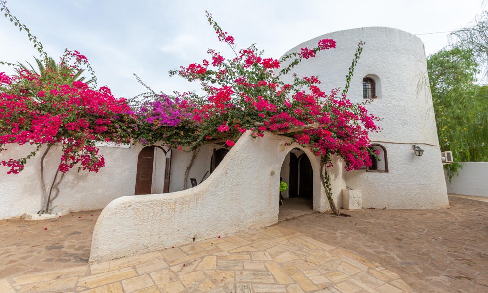 Cortijo Torre Blanca - Imagen 36