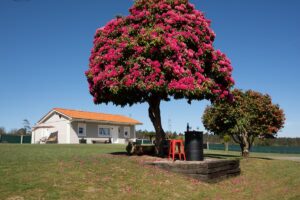 A Casiña dos Veiras