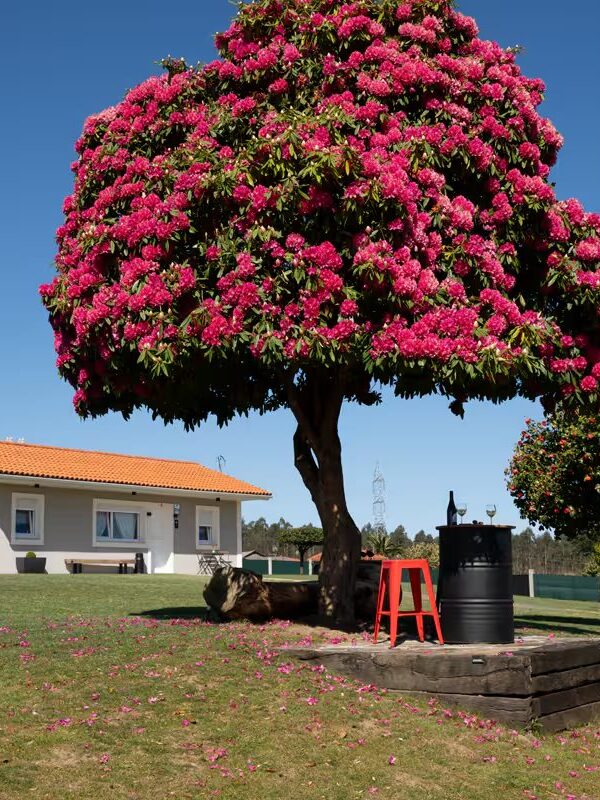 A Casiña dos Veiras