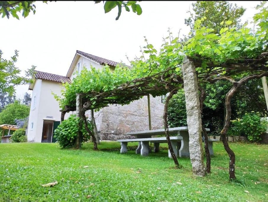 La Casa A viña de Lina - Imagen 11