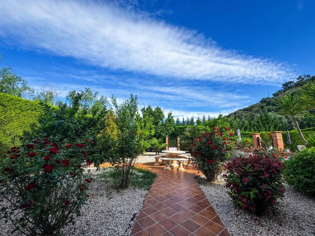 Casa Mista Del Mundo Bed & Breakfast - Imagen 32