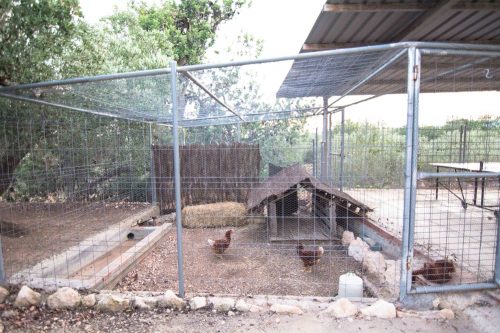 Casa Oliva - Imagen 9