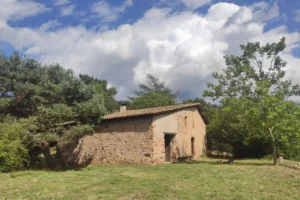 MonTornes Silvestre