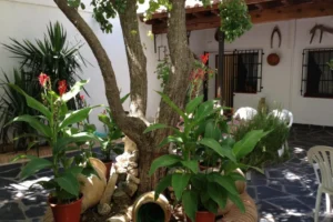 El Rincón del Infante